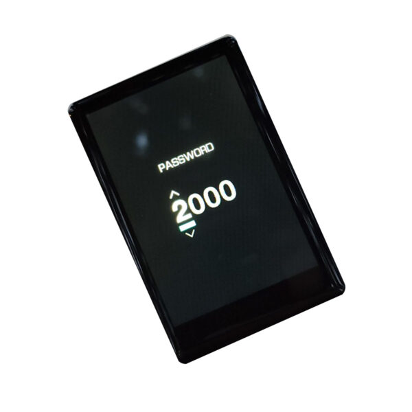 Kaabo TFT Display (DM06) - Image 3