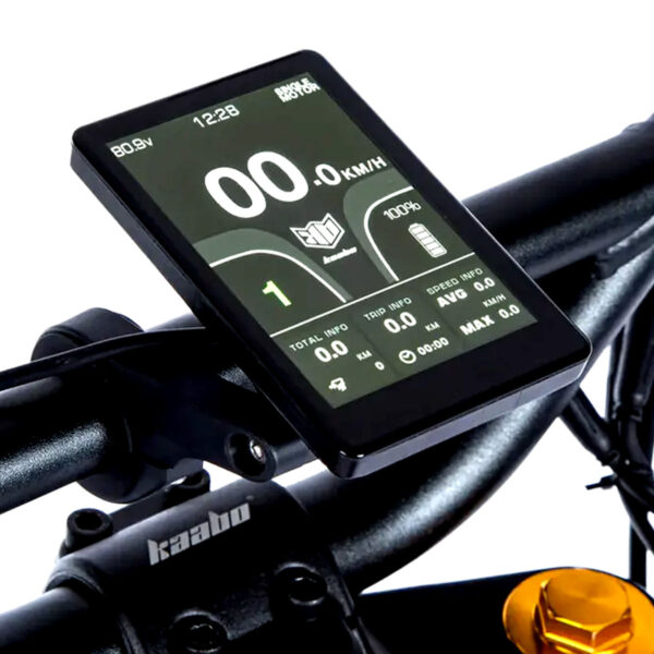 Kaabo TFT Display (DM06) - Image 7